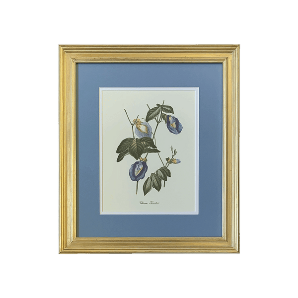 Vintage Botanical Print Collection