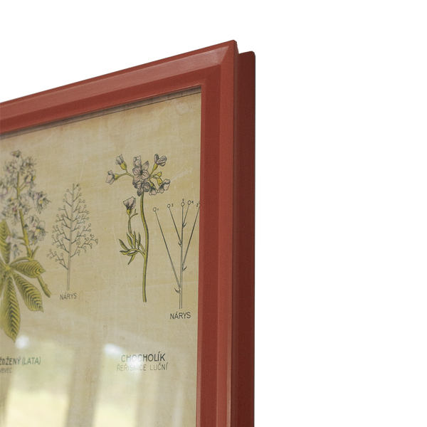 Botanical Print in Mini Star Frame