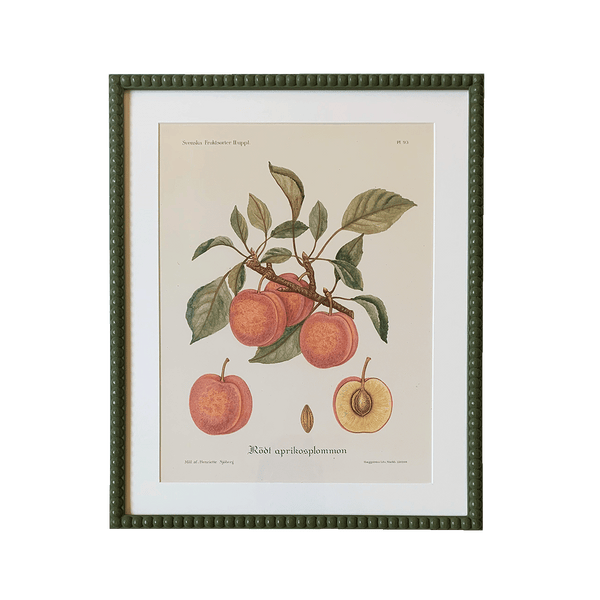 Fruit Prints
