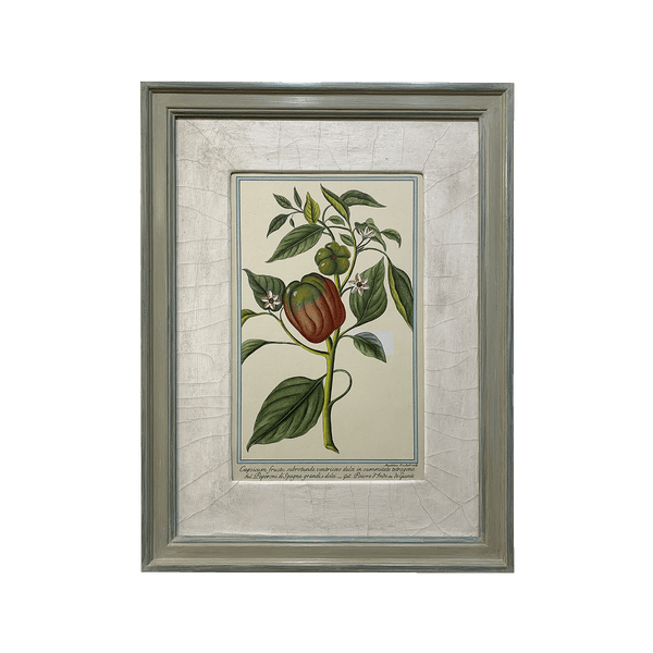 Fruit and Veg Prints
