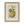 Botanical Prints in Hurst Frames with Gesso Mounts