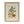 Botanical Prints in Hurst Frames with Gesso Mounts