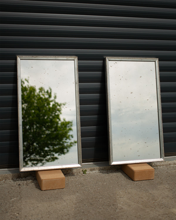 Antique Silver and Light Antique Mirrored Cabinet Doors