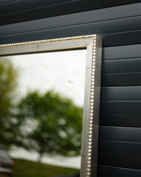 Antique Silver and Light Antique Mirrored Cabinet Doors