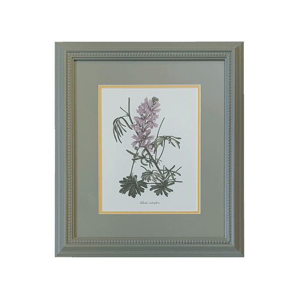 Botanical Print Collection