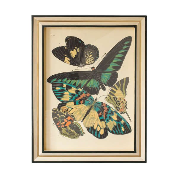 Butterfly Print