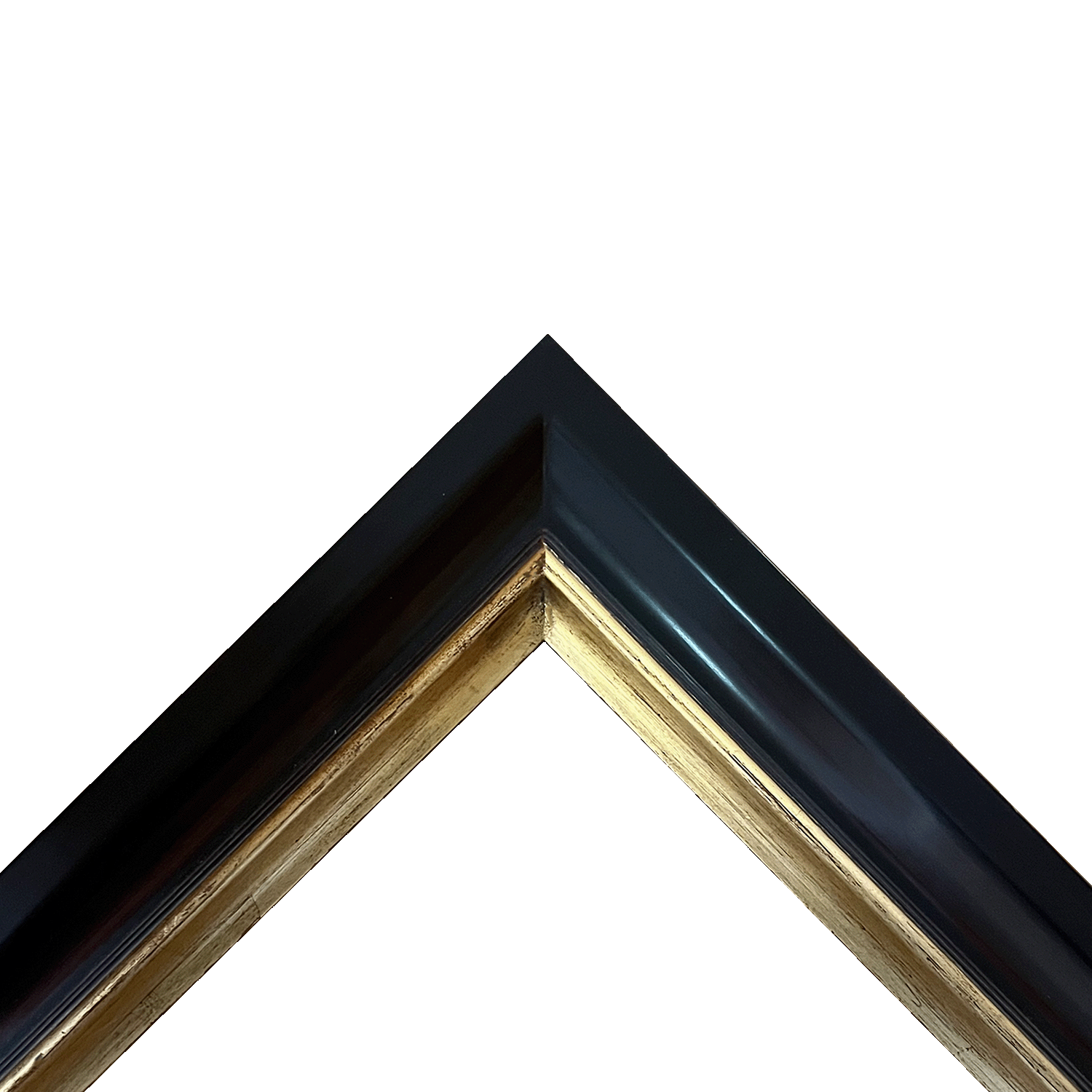 Cockatoo | PW693 – Patrick Ireland Frames