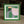 Kelly Green Framed Collage