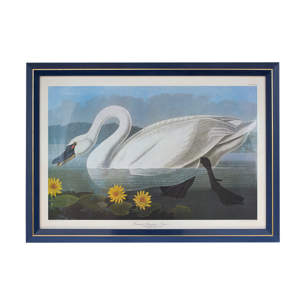 John James Audubon Prints