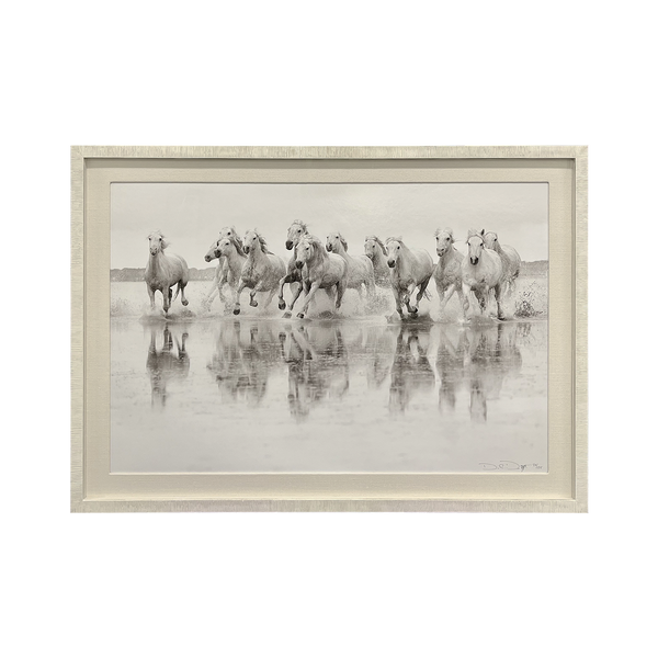 Drew Doggett Spirit of the Camargue Limited Edition Print