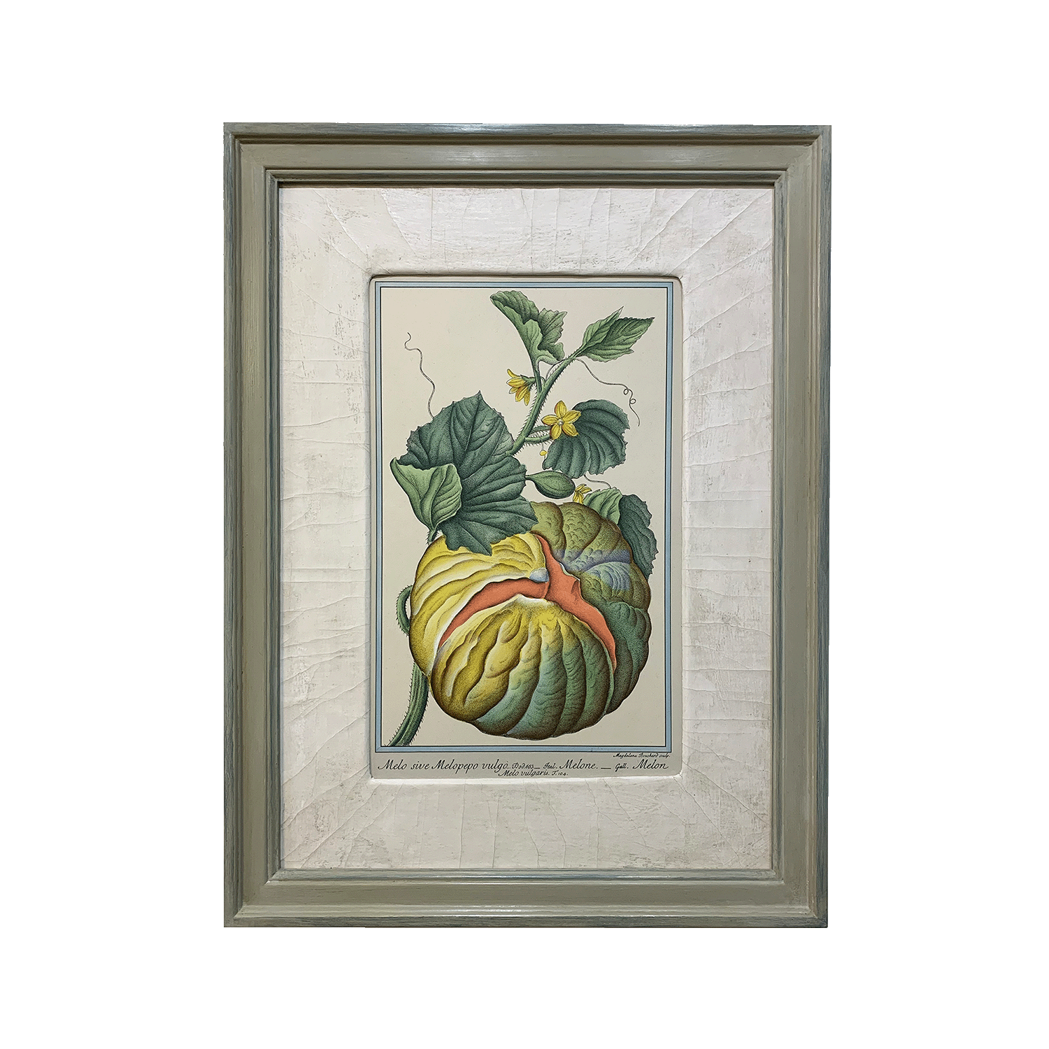 Fruit and Veg Prints – Patrick Ireland Frames