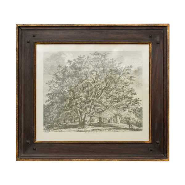 English Trees