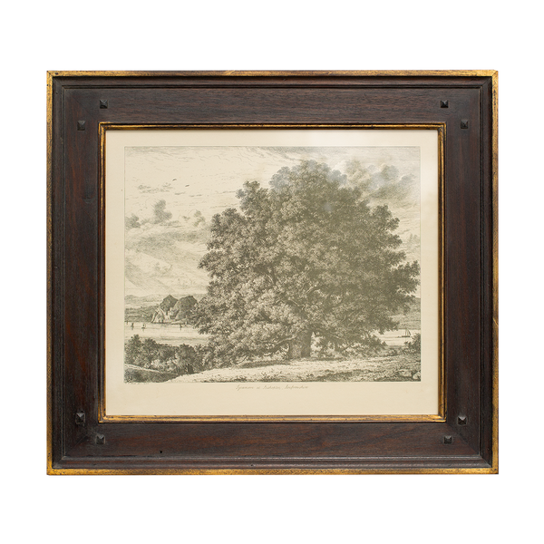 English Trees