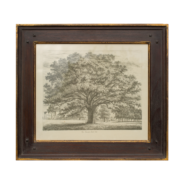 English Trees