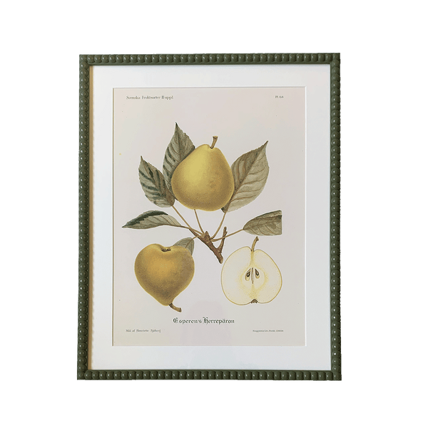 Fruit Prints