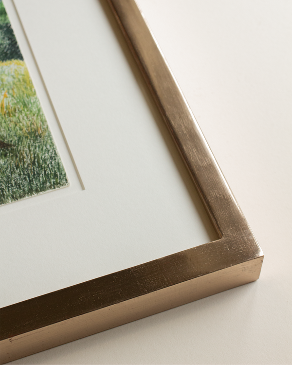 Champagne Gold Framed Art