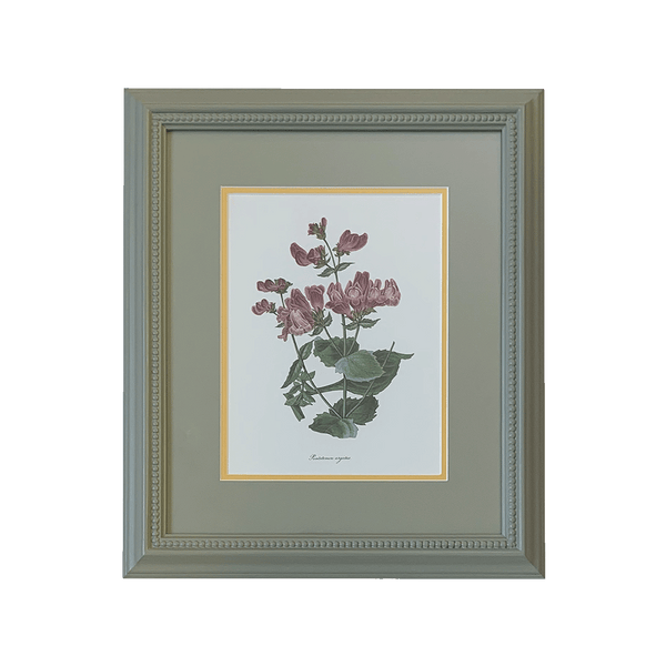 Botanical Print Collection