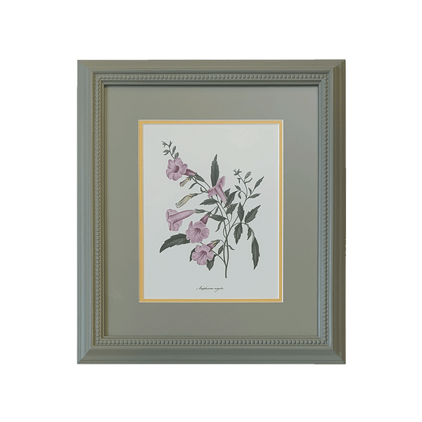Botanical Print Collection