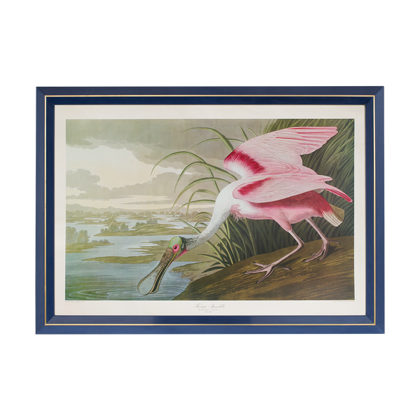 John James Audubon Prints
