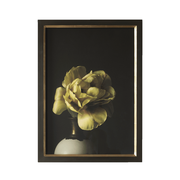 A2 Tulip Photograph by Kate Sims