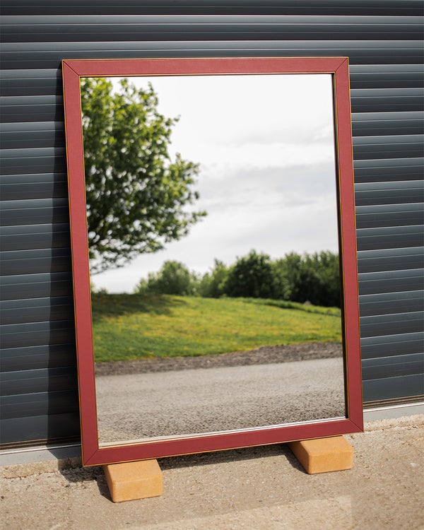 Imitation Light Brushed Brass & Faux Leather Mirror