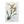 Vintage Botanical Set - Gold