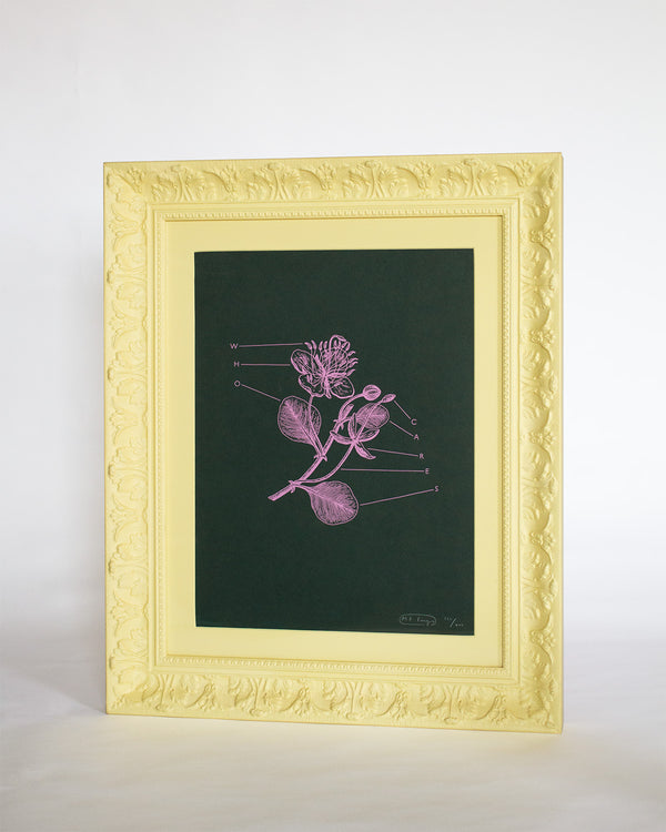 Mr Bingo Who Cares Print