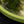 Neon Yellow Double Bullnose Round Mirror