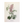 Vintage Botanical Set - Sage
