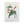 Vintage Botanical Set - Gold