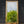 A bespoke mirror made using an antique gold frame with a Venetian mirror inlay. The central mirror has a bevel and is reflecting the East Sussex countryside. This traditional style mirror is leaning against a workshop roller door. 