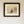 Turtle Photograph in Large Bobbin Frame