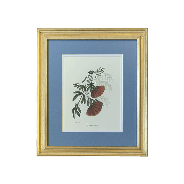 Vintage Botanical Print Collection