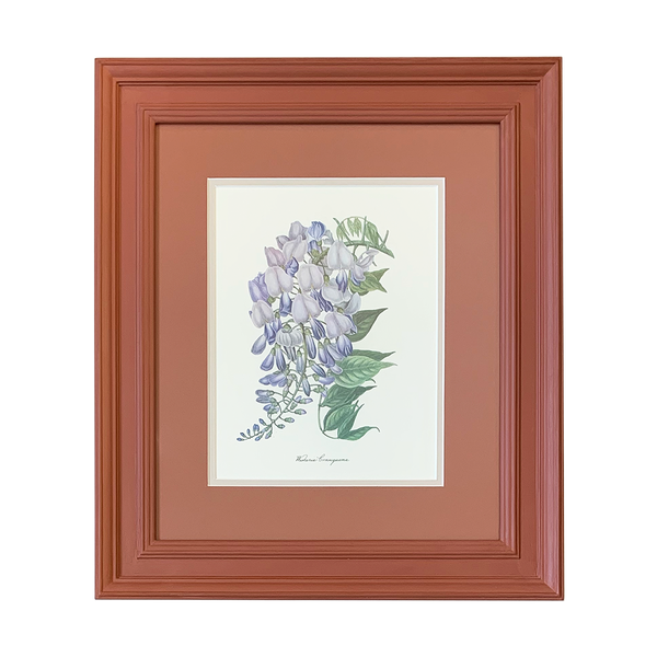 Vintage Botanical Set - Terracotta