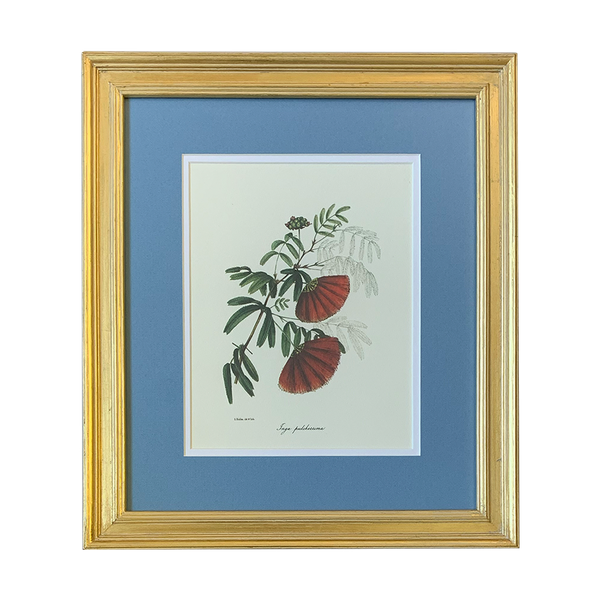 Vintage Botanical Set - Gold