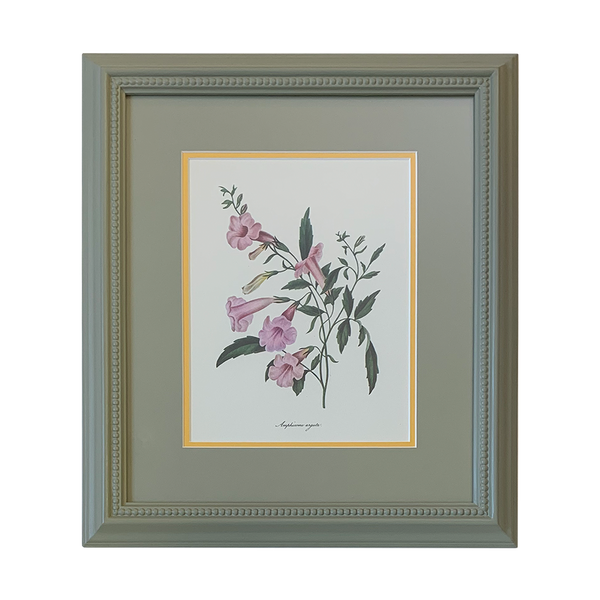 Vintage Botanical Set - Sage