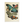 Butterfly Print